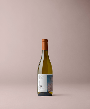 2023 Lingua Franca Avni Chardonnay 1