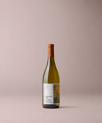 2023 Lingua Franca Estate Chardonnay 1