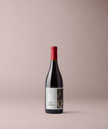 2023 Lingua Franca l'Atelier Gamay Noir Willamette Valley 1