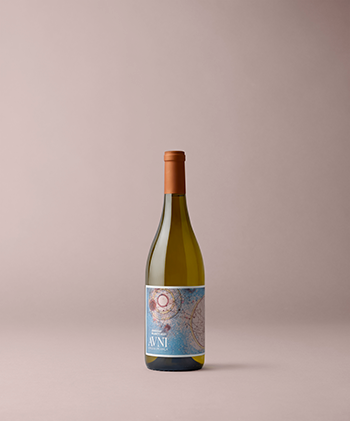 2024 Lingua Franca Avni Chardonnay 1