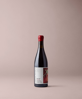 2023 Lingua Franca Novo Vivo Pinot Noir 1