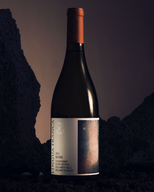 2023 Lingua Franca Sisters Chardonnay