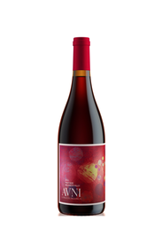 2024 Lingua Franca Avni Pinot Noir