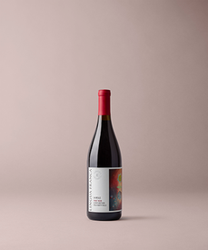 2023 Lingua Franca La Belle Pinot Noir