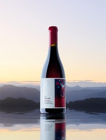 2021 Lingua Franca Novo Vivo Pinot Noir