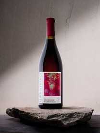 2022 Lingua Franca Avni Pinot Noir