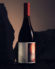 2023 Lingua Franca La Belle Pinot Noir