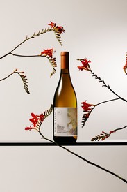 2022 Lingua Franca Bunker Hill Chardonnay