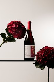 2022 Lingua Franca Avni Pinot Noir
