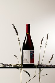 2022 Lingua Franca The Plow Pinot Noir