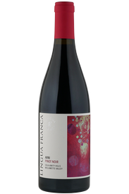 2023 Lingua Franca Avni Pinot Noir