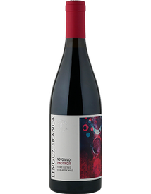 2020 Novo Vivo Pinot Noir
