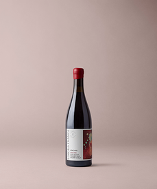 2023 Lingua Franca Novo Vivo Pinot Noir